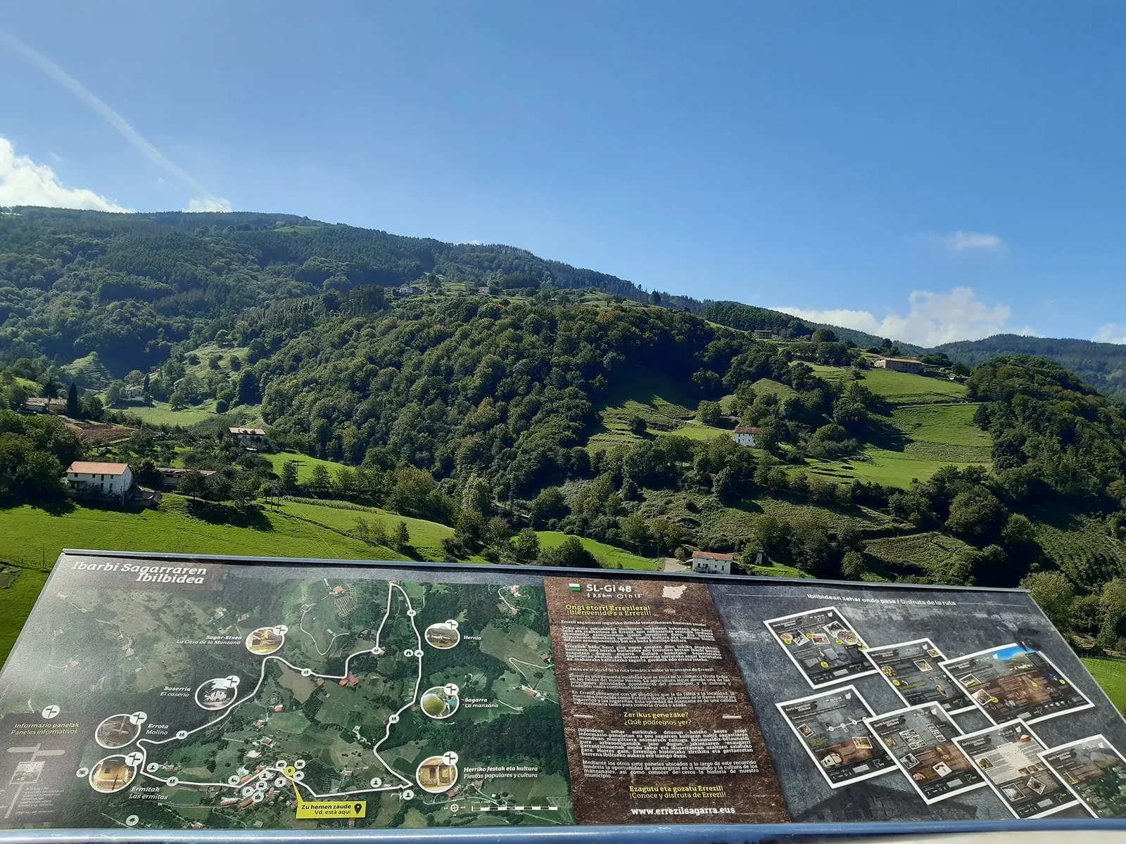 Ibarbi sagarraren loraldia