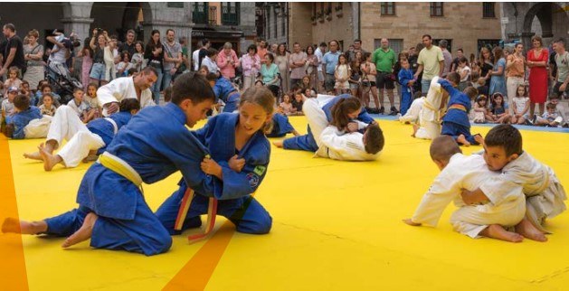 Judo erakustaldia