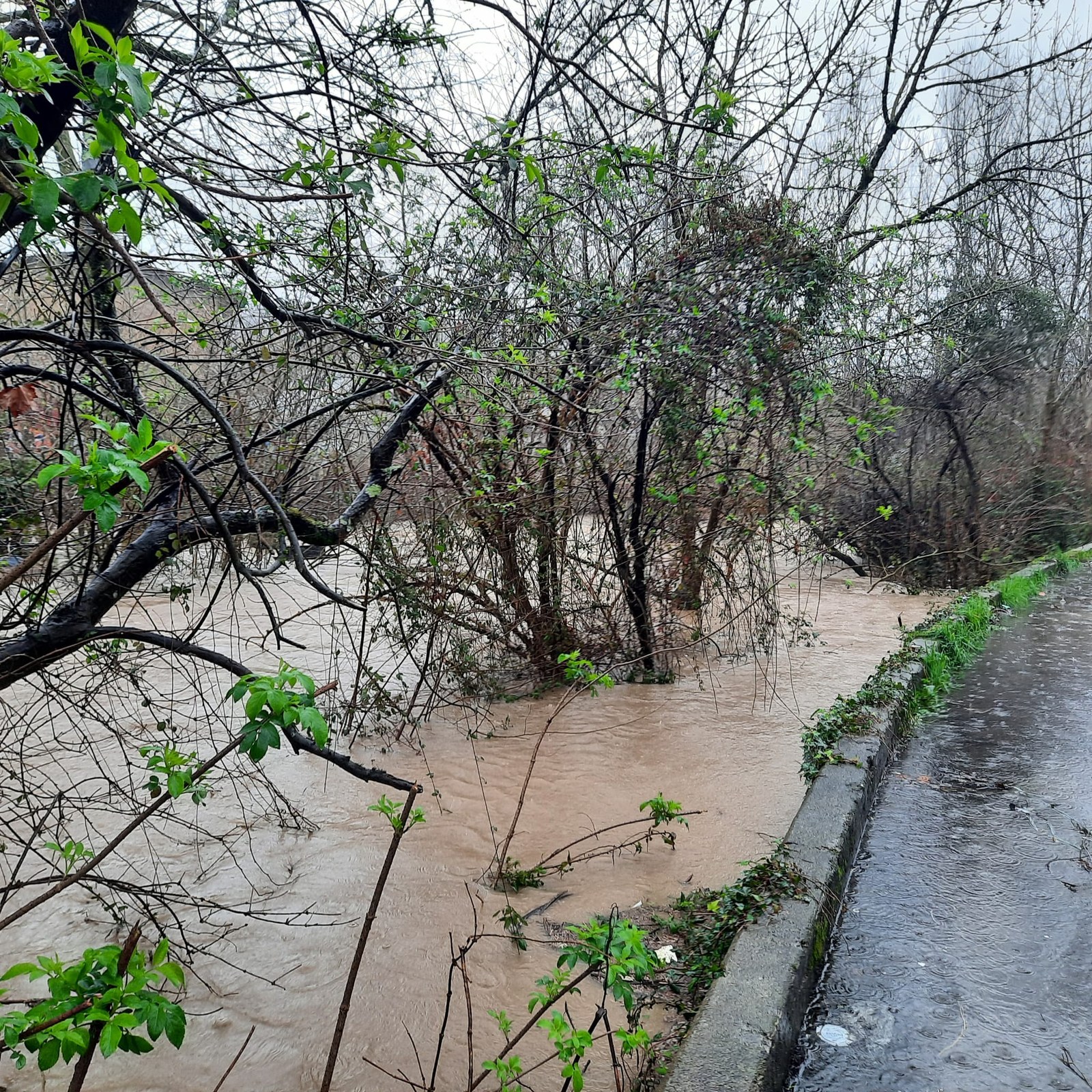 Larrialdi planaren aurkezpena: uholdeak eta haizeteak
