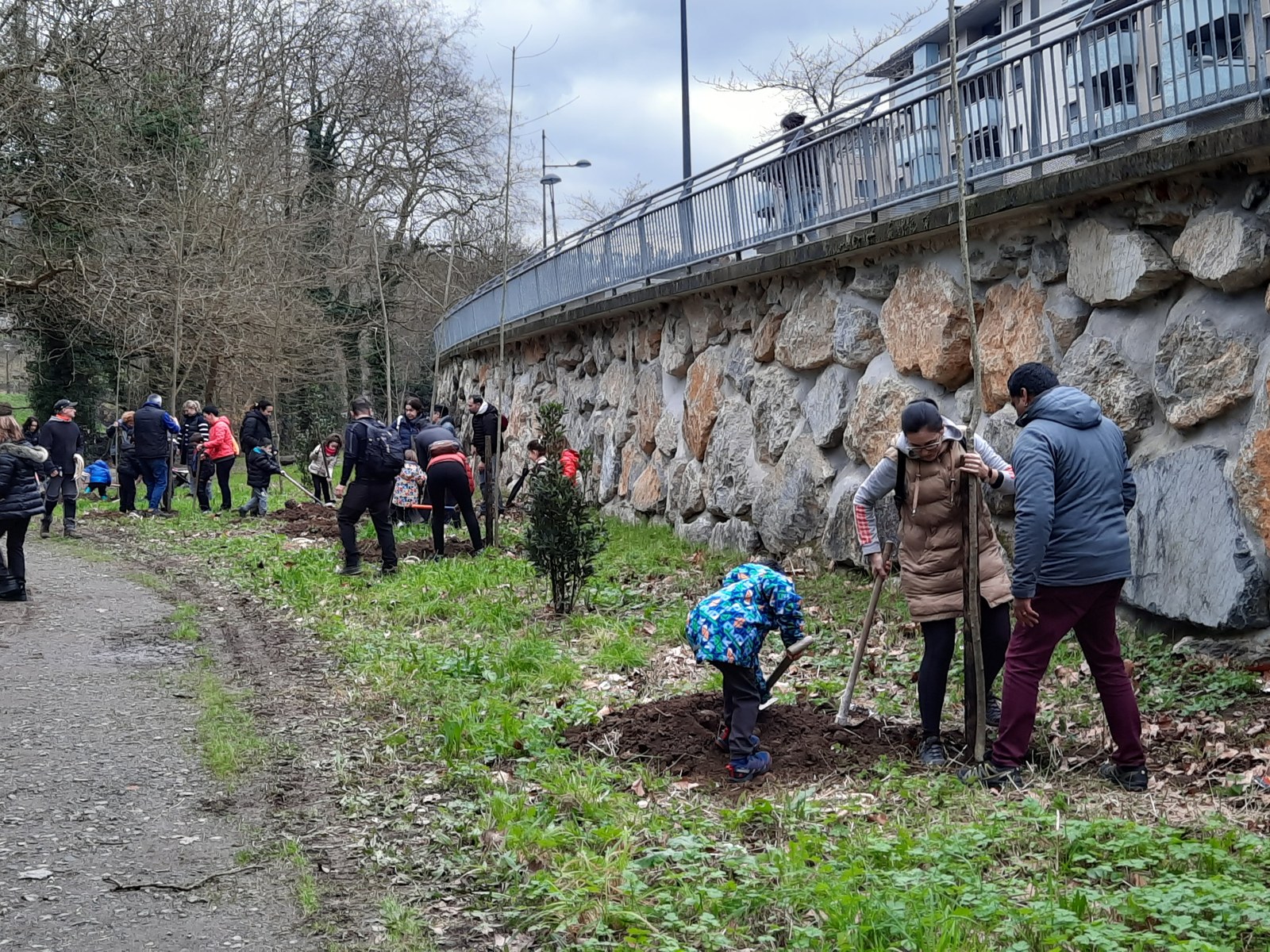 100 lizar landatu zituzten herritarrek Zuhaitz Egunean