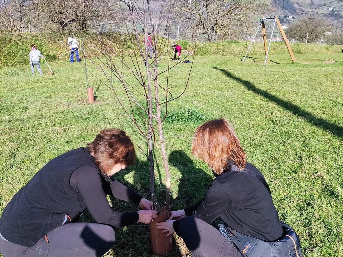 150 zuhaitz landatuko dituzte aurtengo Zuhaitz Egunean