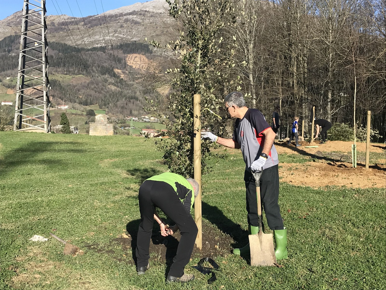 50 zuhaitz landatuko ditu Udalak datozen egunotan