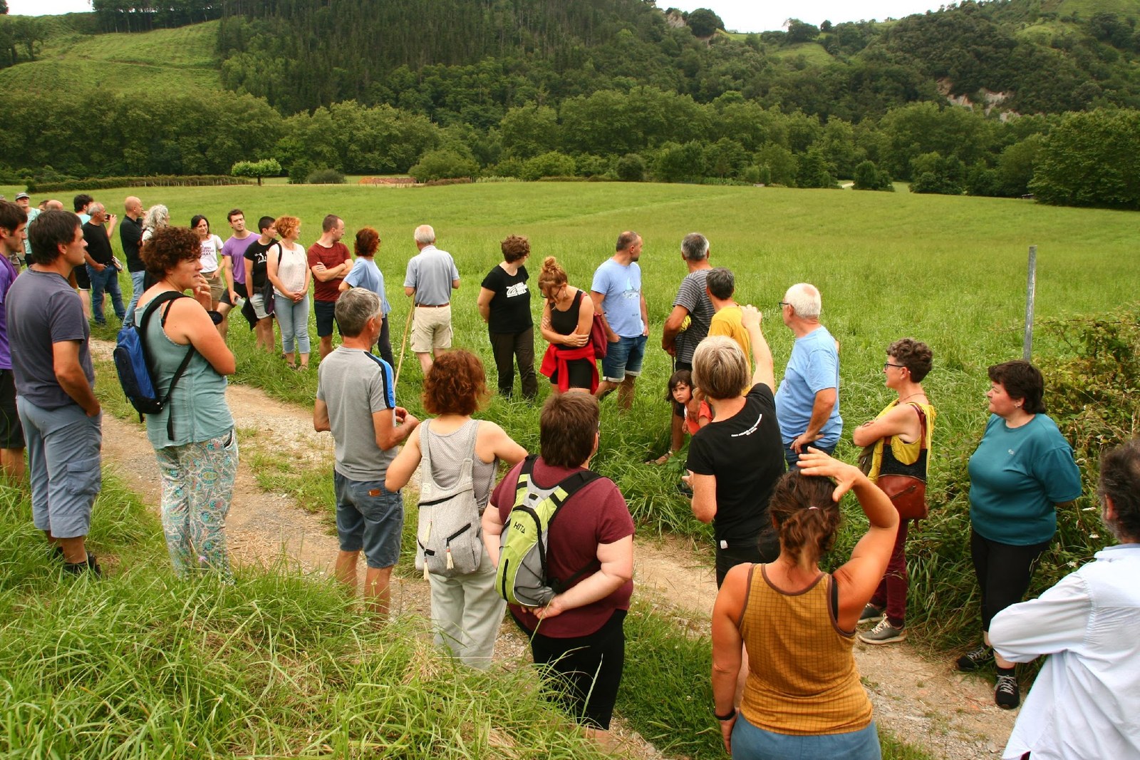Amillubi proiektuaren babesleetako bat da Azpeitiko Udala