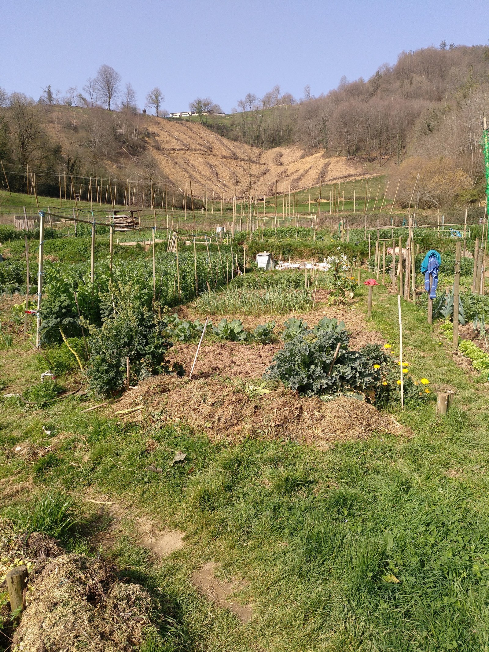 Baratze ekologiko publikoa eskuratu nahi dutenek maiatzaren 5a arte dute eskaera egiteko epea