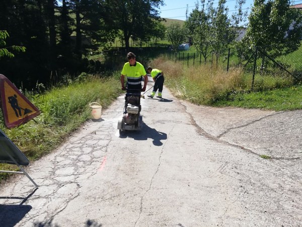 IMG 20190711 112200 resized 20190726 114002382