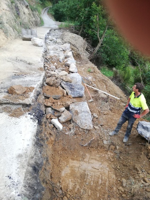 IMG 20190717 120500 resized 20190726 114000747