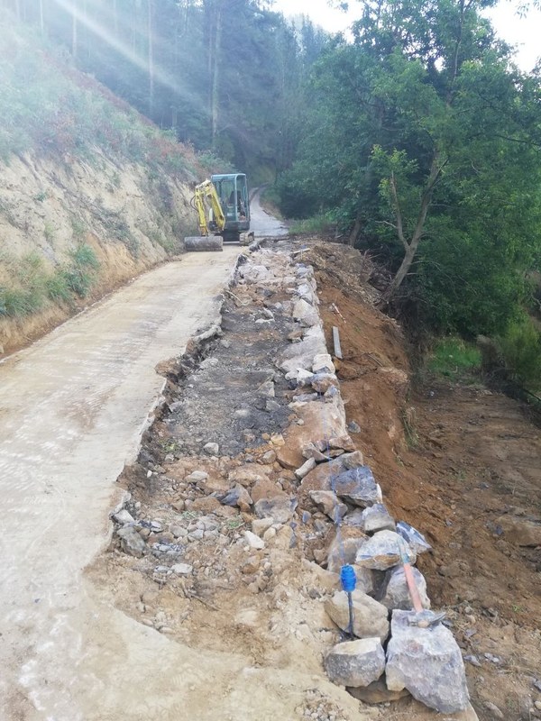 IMG 20190718 092946 resized 20190726 114001284