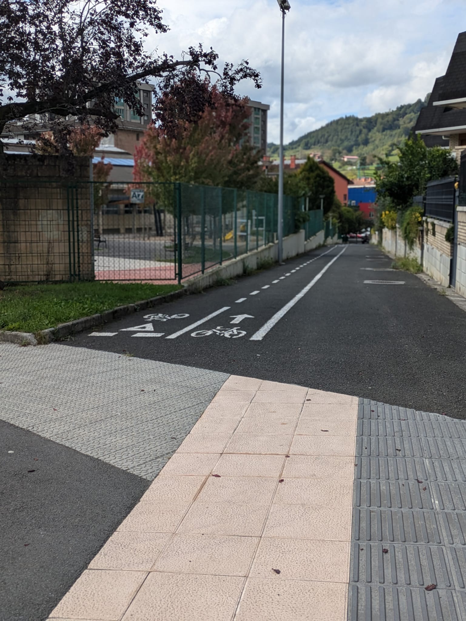 Bi bidegorri lotzeko lanak, hastear