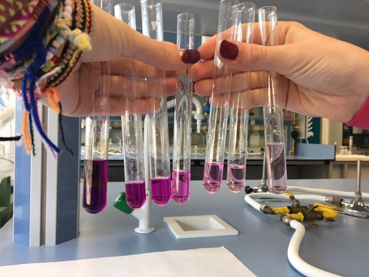 Doako zientzia tailerrak izango dira haurrentzat, azaroan, Basazabal Formazio zentroan