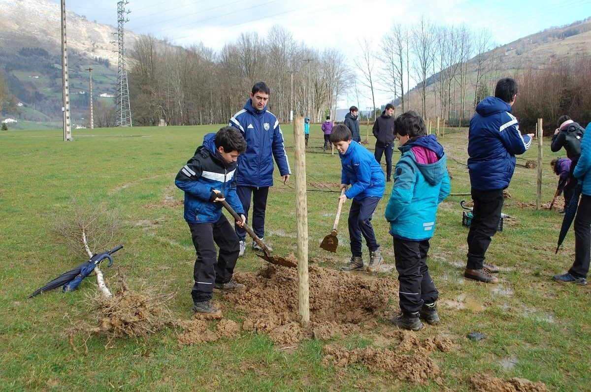 Eguraldi eskasari aurre eginez, 75 zuhaitz landatu ziren Zuhaitz Egunean, Goenan