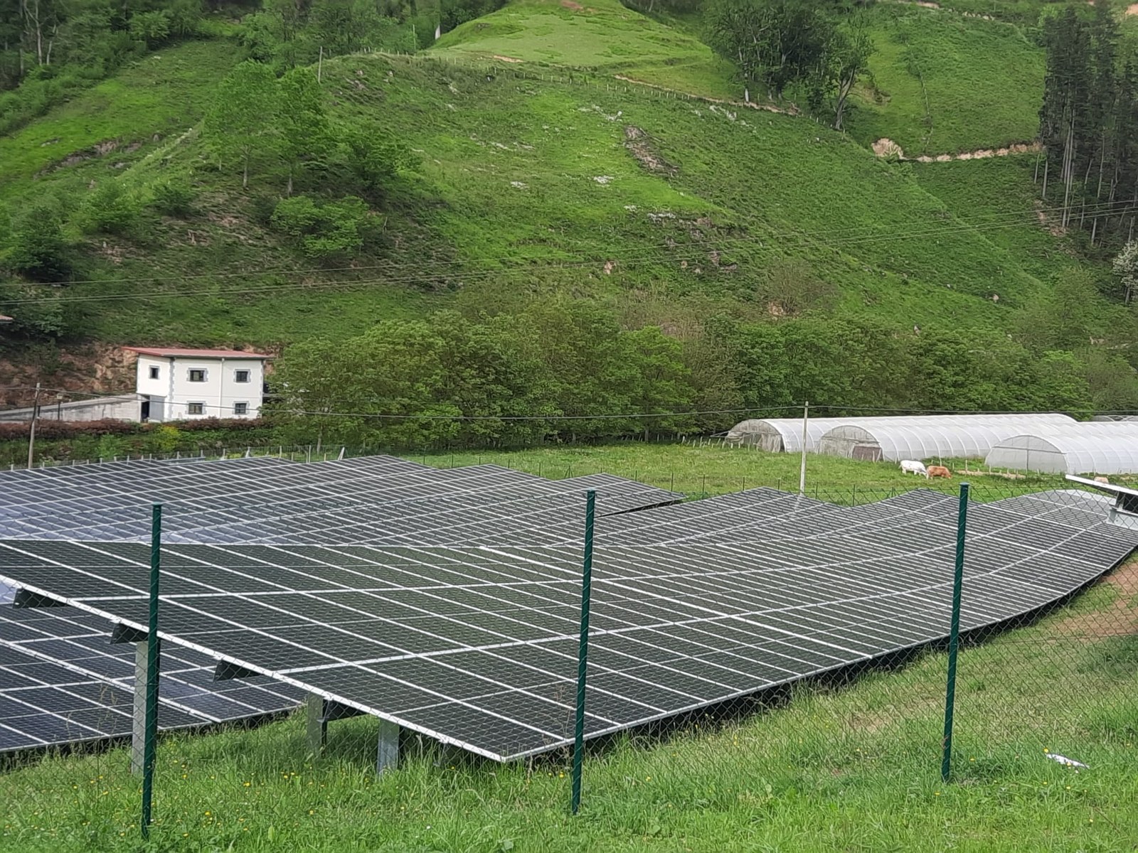 Ekindarren batzar informatiboa egingo da asteazkenean