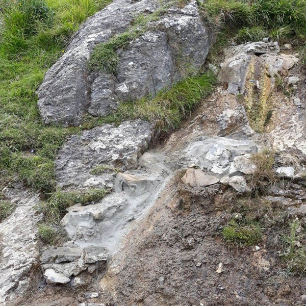 2b3f9c10 6289 4af7 bf36 401853fe5ef4