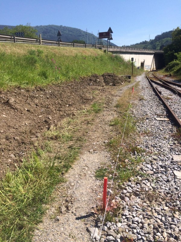 PHOTO 2019 05 22 16 55 20 1