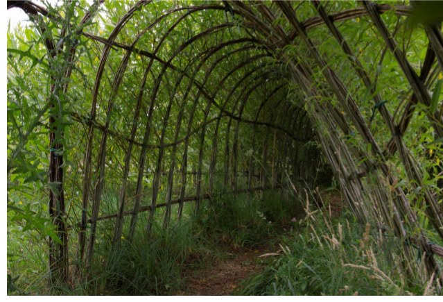 Hiru ikastetxeetako ikasleak, elkarrekin zumitzezko jolasgune  bizi bat osatzen