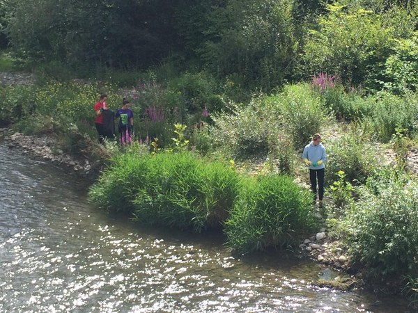 PHOTO 2019 06 19 11 54 41 3