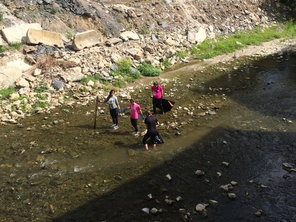 PHOTO 2019 06 19 11 54 41 5