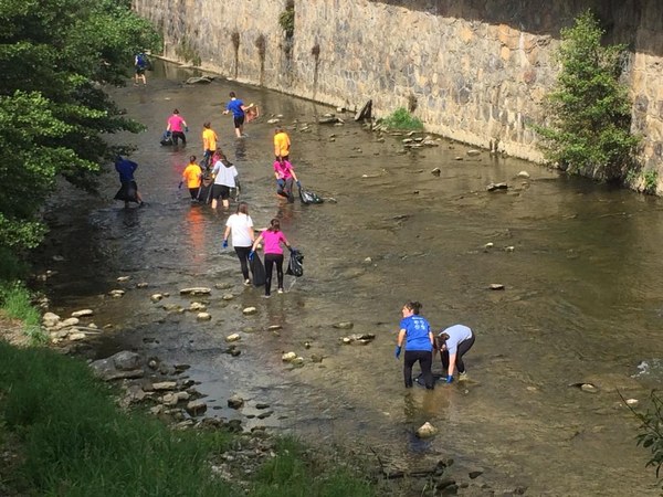 PHOTO 2019 06 19 11 54 41 6