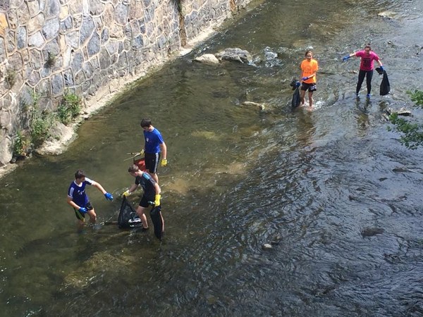 PHOTO 2019 06 19 11 54 41 7