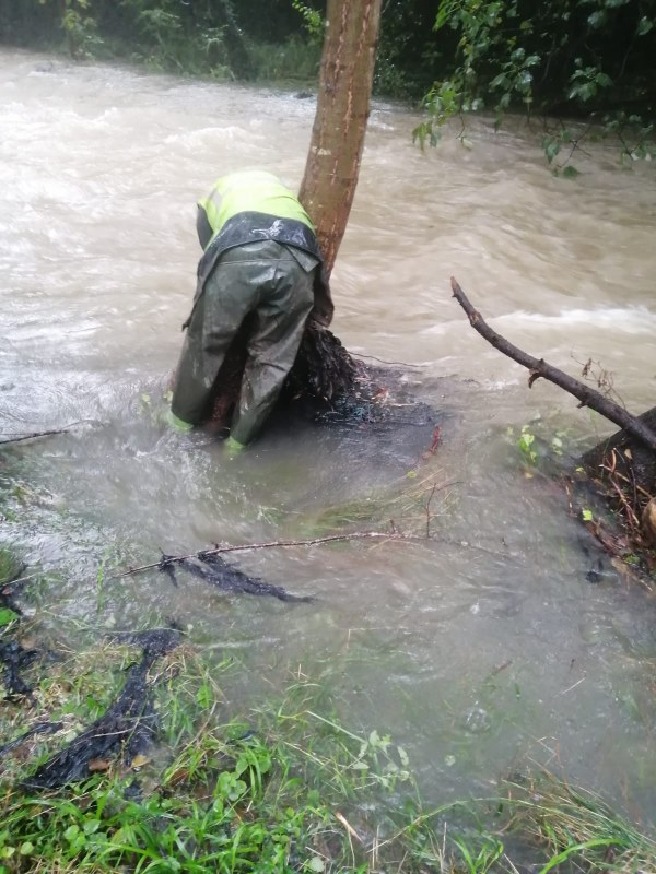 5b8e512a 7e3a 4d26 9c39 8b9def740198