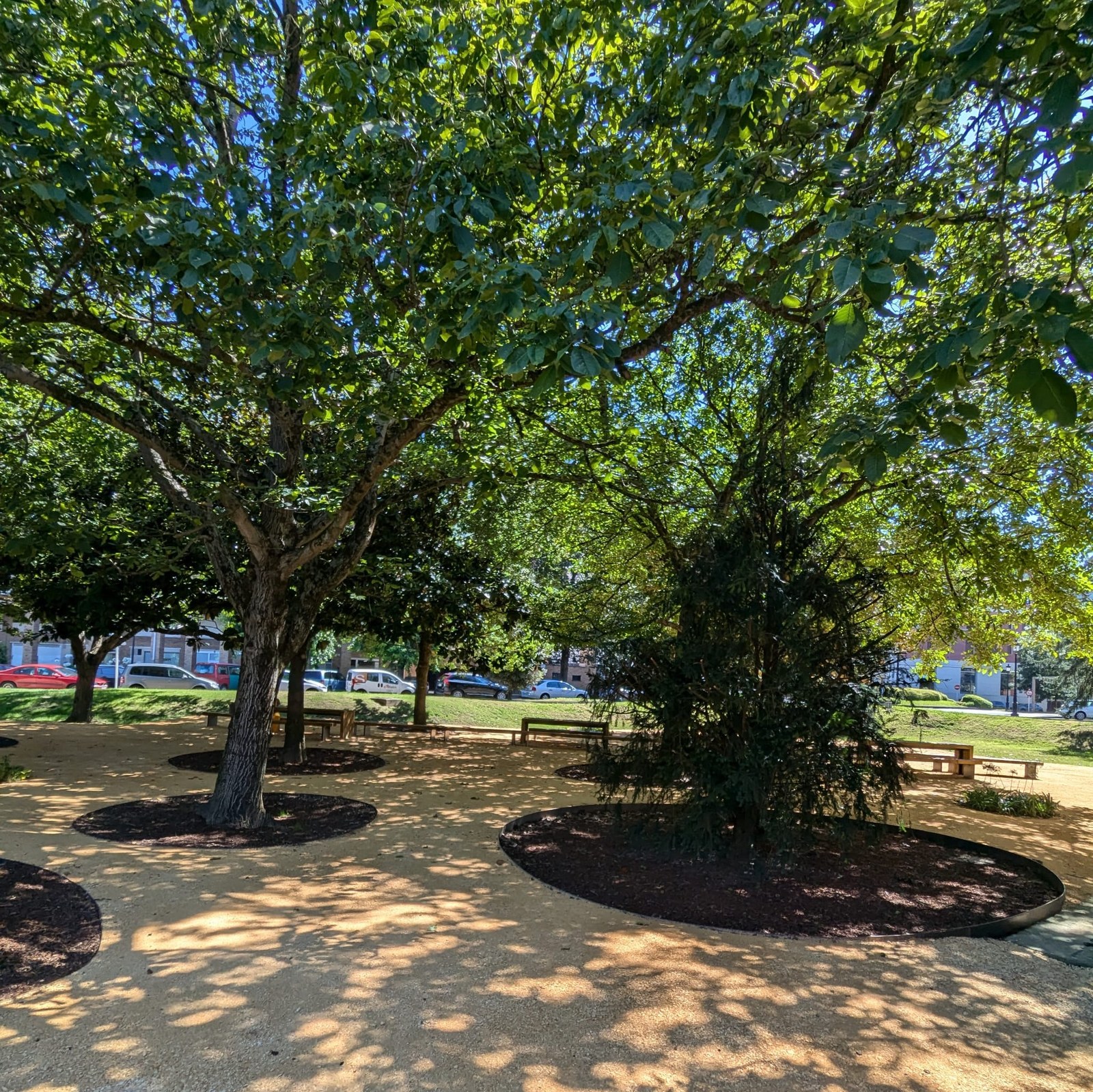 Itzalguneak sortzea izan da lehentasunetako bat urteko lehen zatian egindako obra txikietan