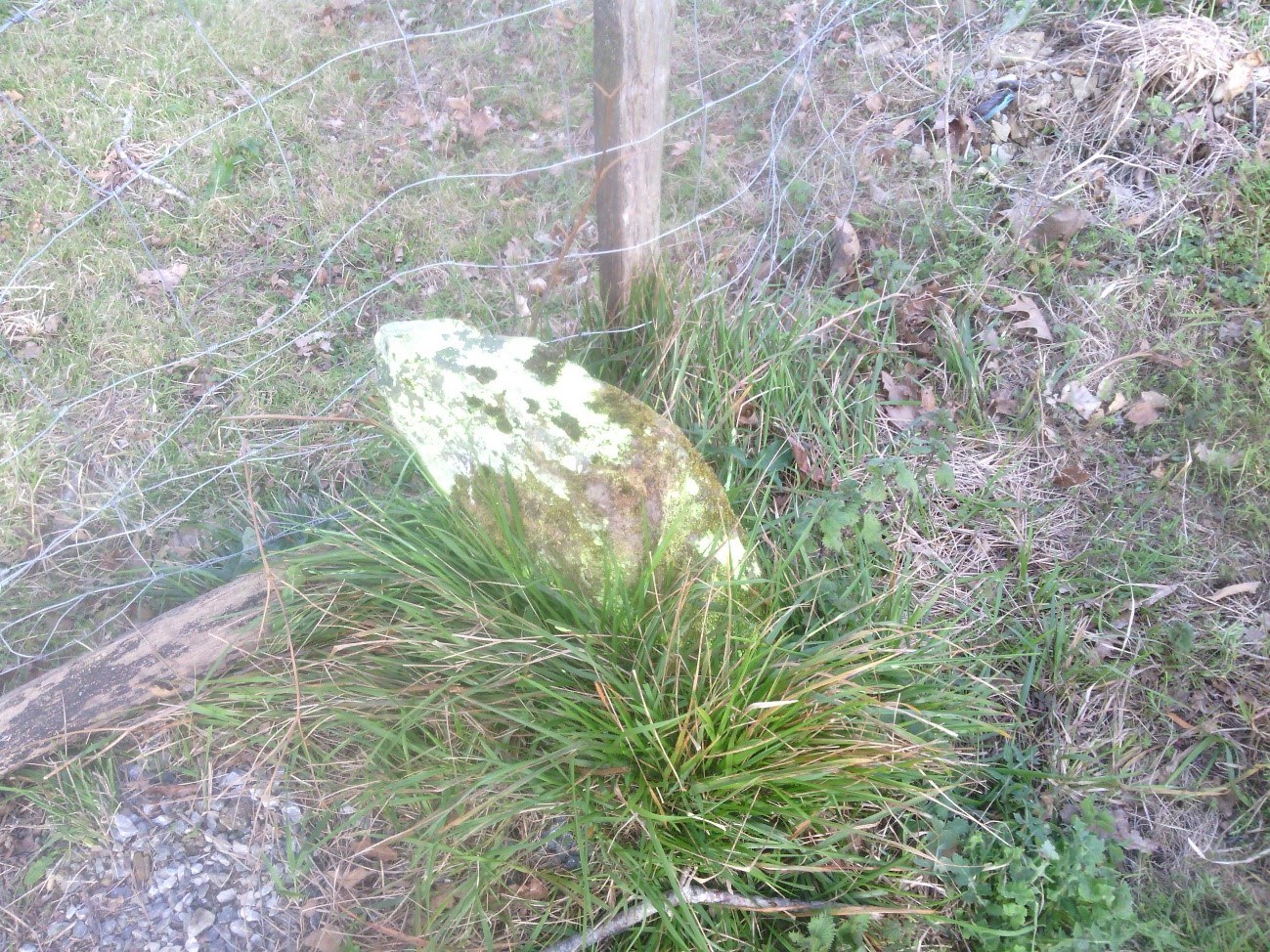 Landa lursailak mugatu eta digitalizatzen jarraituko du udalak