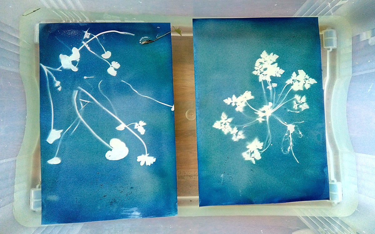 Landareen irudiak sortzen ikasteko familia ekintza izango da martxoaren 12an