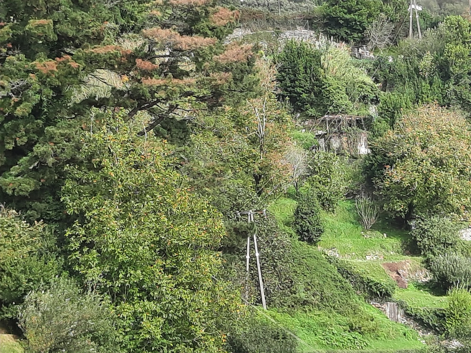 Mugen digitalizazioari buruzko bilerak egingo dira azaroaren 8an