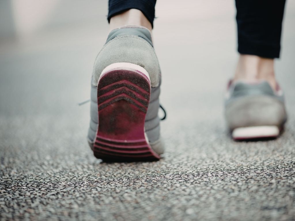 Mugiment Pauso Erronkan parte hartuko du Azpeitiak