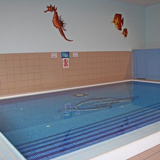 Otsailaren 24an zabalduko dute igeriketako hirugarren hiruhilekoko ikastaroetan izena emateko epea