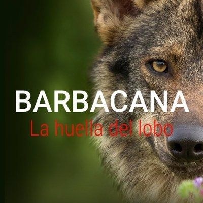 Otsoak ekosistema iberiarretan duten garrantzia azpimarratzen duen 'Barbacana, la huella del lobo' filma izango da ikusgai azaroaren 6an 19:00etan Soreasun