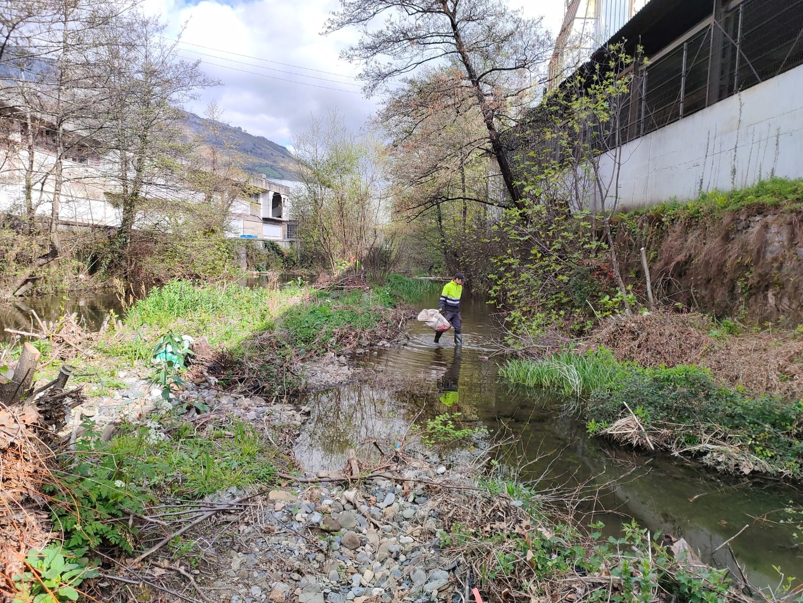 Urola eta Ibaieder ibaia garbitzen ari da udala