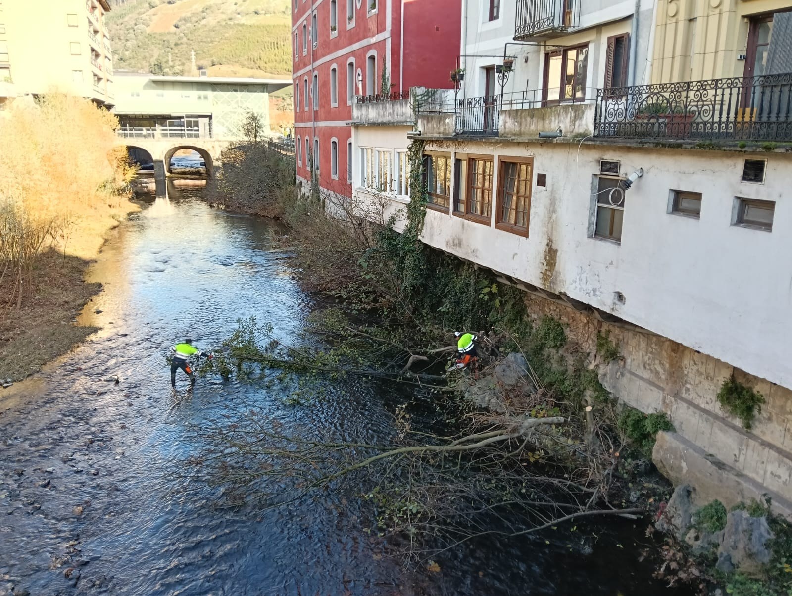 Urola eta Ibaieder ibaiak garbitzen ari dira egunotan