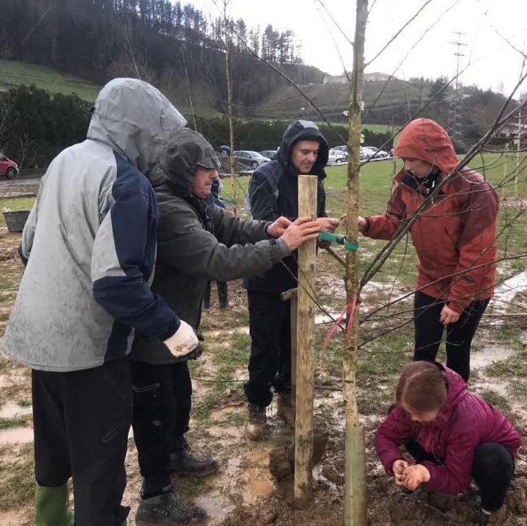Zuhaitzak landatuz, ingurumen-kontzientzia hartzen